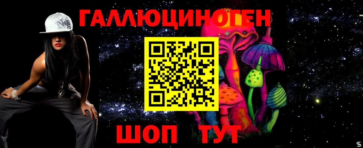 Псилоцибиновые грибы мицелий Улан-Удэ